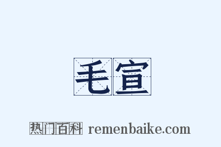 毛宣是什么意思的图片